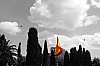 1063-091.jpg 1063-091.jpg